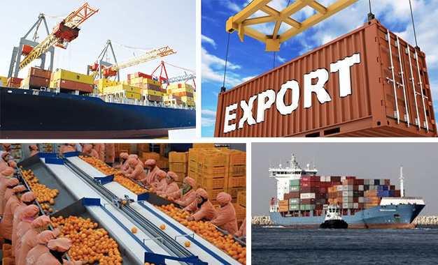 Exportations
